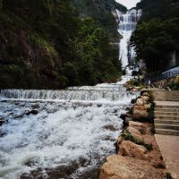 評論圖片 4