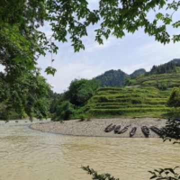 評論圖片 9