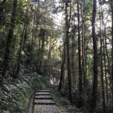 評論圖片 3