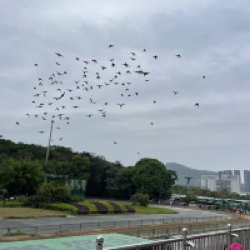 評論圖片 3