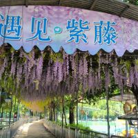 評論圖片 8