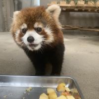 評論圖片 9