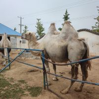 評論圖片 7