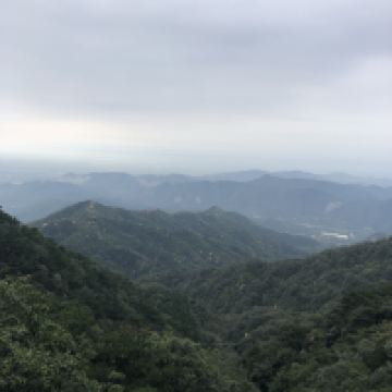 評論圖片 3