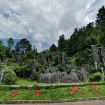 評論圖片 5