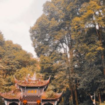 評論圖片 1