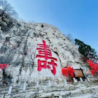 評論圖片 6