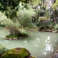 評論圖片 2