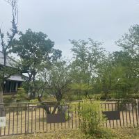評論圖片 6