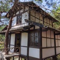 評論圖片 5