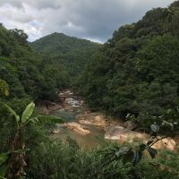 評論圖片 2