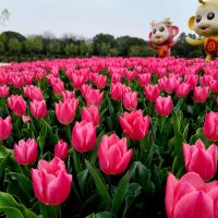 評論圖片 1