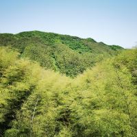 評論圖片 5