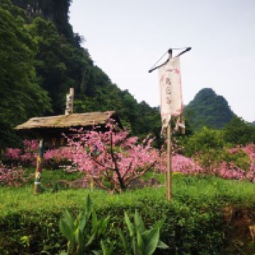 評論圖片 3