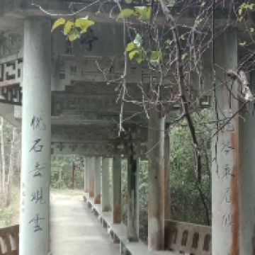 評論圖片 1