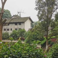 評論圖片 4