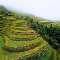 評論圖片 4