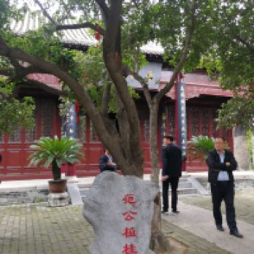 評論圖片 7