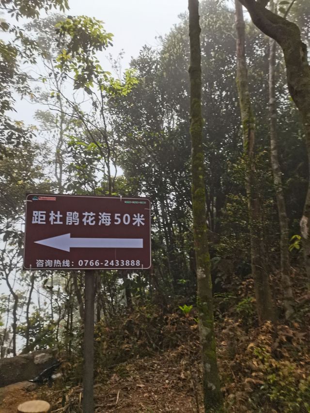 Xinxing Tianlushan Resort