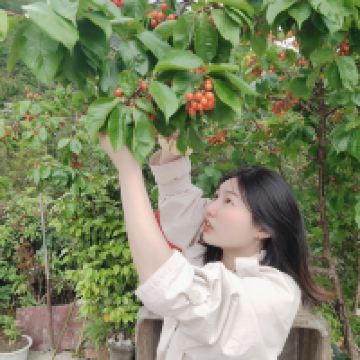評論圖片 5