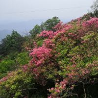 評論圖片 2