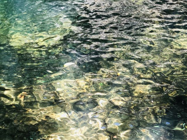 Qingyuan Bijiashan Canyon Drifting