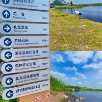 評論圖片 2