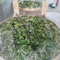 評論圖片 9