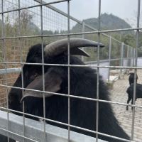 評論圖片 4