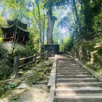 評論圖片 4