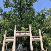 評論圖片 5