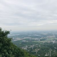 評論圖片 9