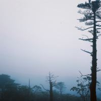 評論圖片 1