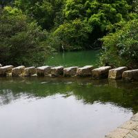 評論圖片 3