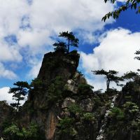 評論圖片 7