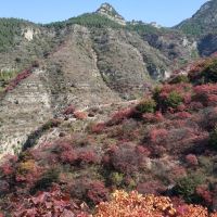 評論圖片 2