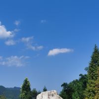 評論圖片 1