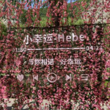 評論圖片 9
