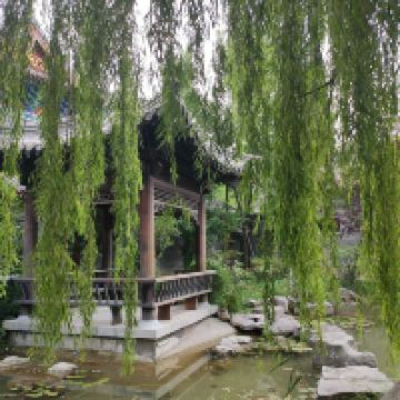 評論圖片 1