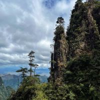 評論圖片 3
