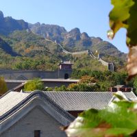 評論圖片 9