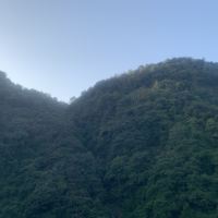 評論圖片 1