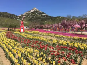 乳山熱門賞花踏青景點