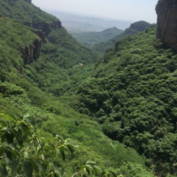 評論圖片 2