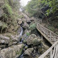 評論圖片 1