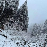 評論圖片 8