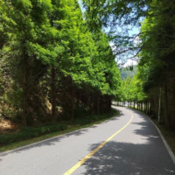 評論圖片 4