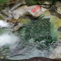 評論圖片 1