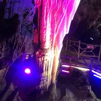 評論圖片 6