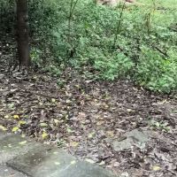 評論圖片 8